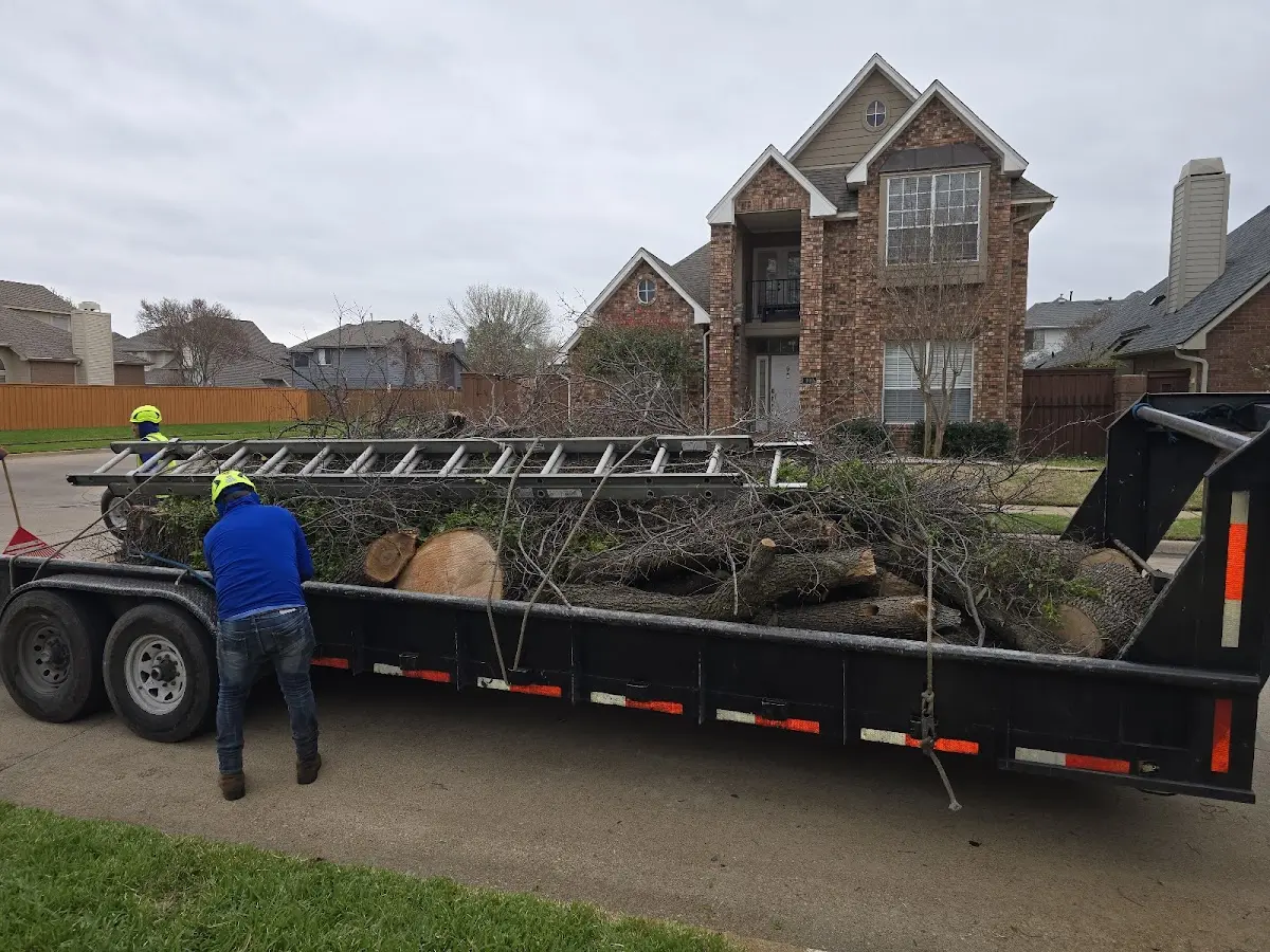 Expert Tree Removal with proper safety equipment in Greencastle
